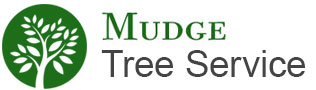 mudge tree service