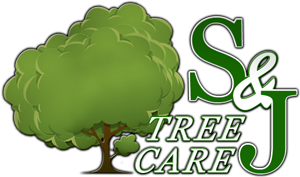 s-and-j-tree-care