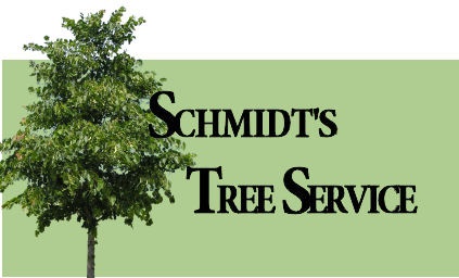 schmidts tree service