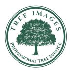 tree images