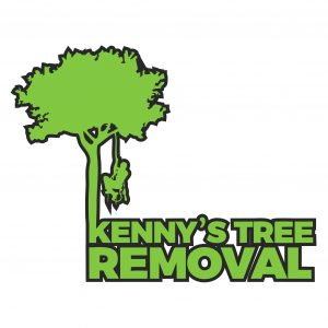 kenny tree