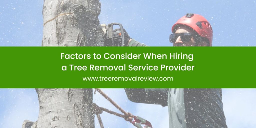 Factors to Consider When Hiring a Tree Removal Service Provider