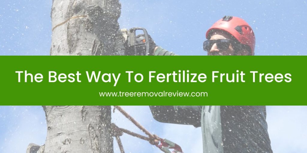 The Best Way To Fertilize Fruit Trees