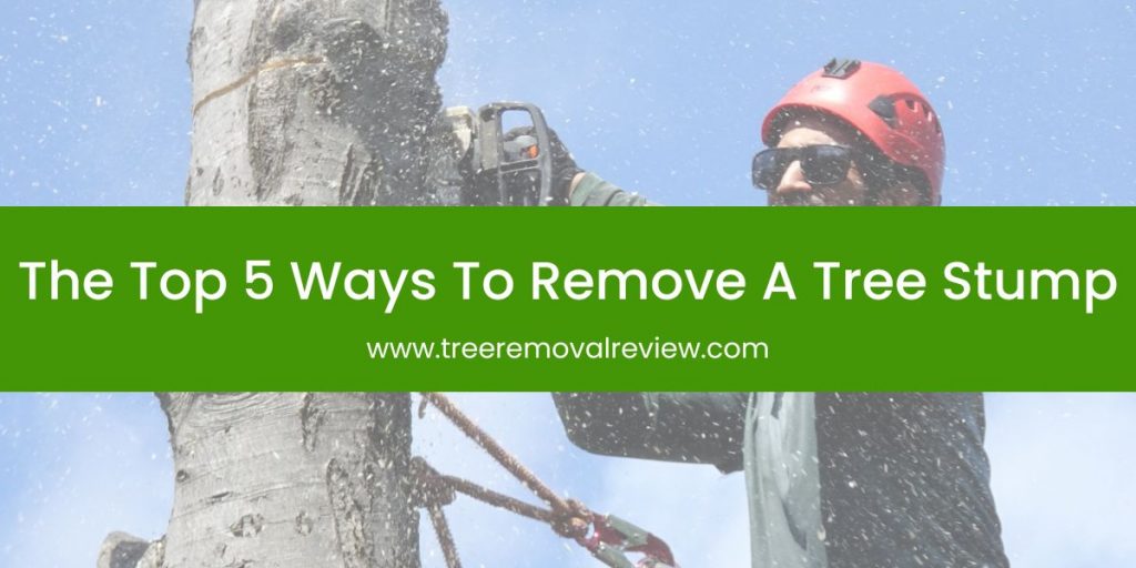 The Top 5 Ways To Remove A Tree Stump