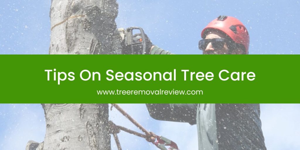 Tips on Seasonal Tree Care