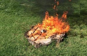 burn stump